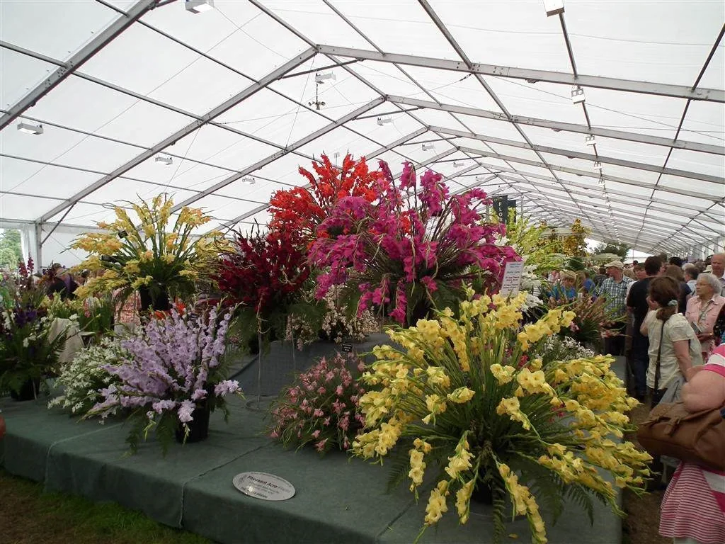 Floral marquee in the long water area 51